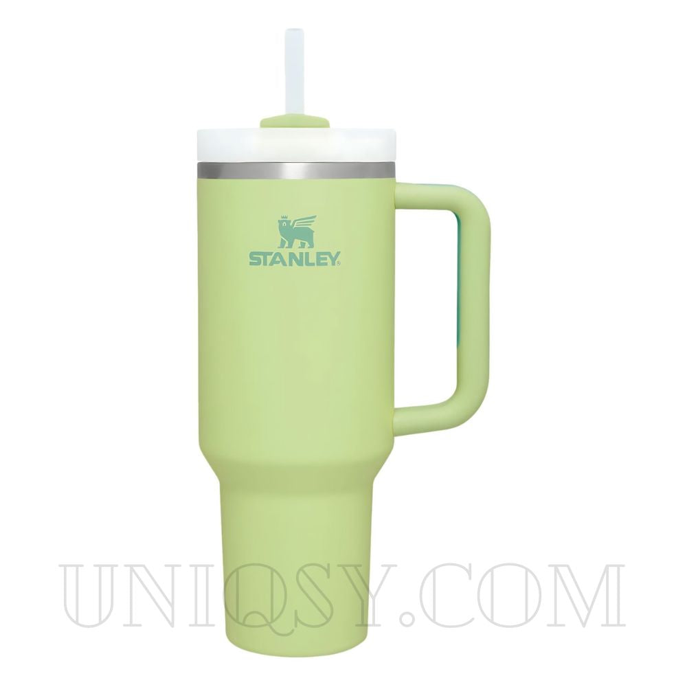 Stanley 40 OZ Tumbler Cup with Handle